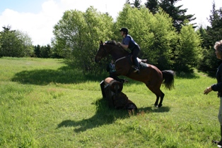 eventing-2009-071