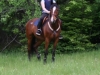 eventing-2009-014