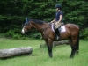 eventing-2009-019