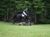 eventing-2009-057