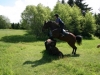eventing-2009-071