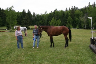 strathgartney-summer-horse-trial-2009-083