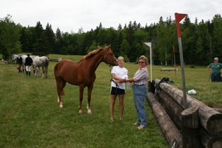 strathgartney-summer-horse-trial-2009-087
