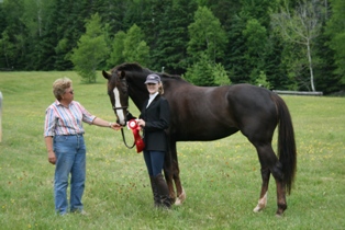 strathgartney-summer-horse-trial-2009-101