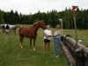 strathgartney-summer-horse-trial-2009-087