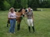strathgartney-summer-horse-trial-2009-093