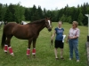 strathgartney-summer-horse-trial-2009-096